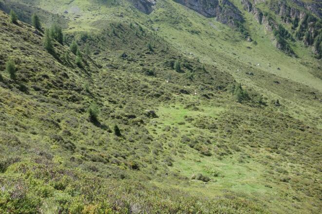 Steigverlauf - Blick zurück