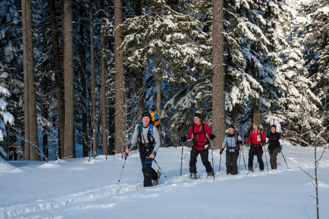Forststraßenaufstieg zur Freudenreichalm