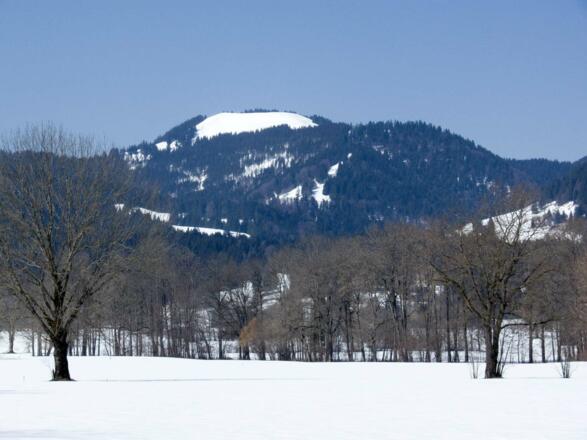 So zeigt sich der Zwiesel von Arzbach im Isarwinkel