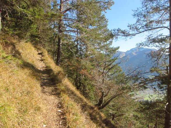 stetig führt der Steig die durch den steilen Wald empor