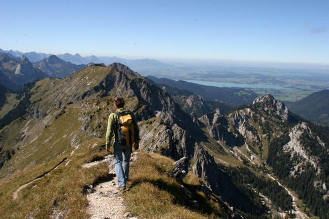 Weiterweg zum Feigenkopf