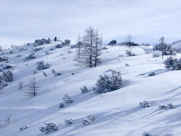 Der Schnee auf der Gugel ist vom Wind verblasen.