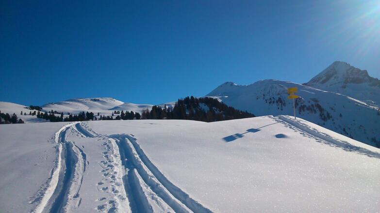 im Bereich der Furstalm ist unser Ziel bereits in Sicht