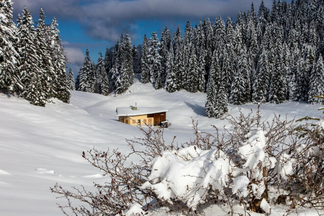 Am Freudenreichsattel kurz vor der Oberen Firstalm