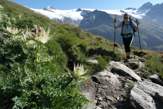 Aufstieg zum Türmljoch, links das Rainerhorn