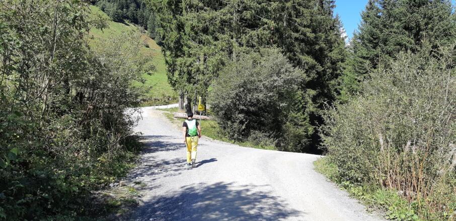 nach einem kurzen Stück auf der Fahrstraße links zur Stiftsalm
