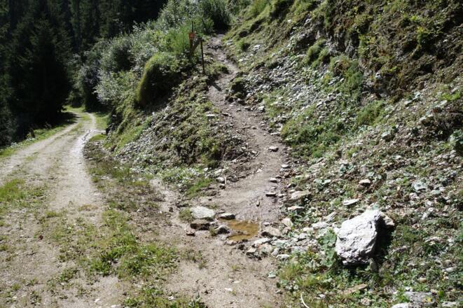 unmittelbar nach der Alm gehts in die Roßgrube
