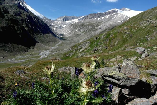 Blick ins Dorfer Tal beim Abstieg vom Defregger Haus zur Johannishütte