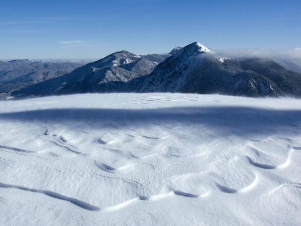 Bei der Schlehdorfer Alm packt der Schneewind hart zu.