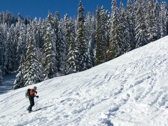 Einfaches Gelände am Roßkopf