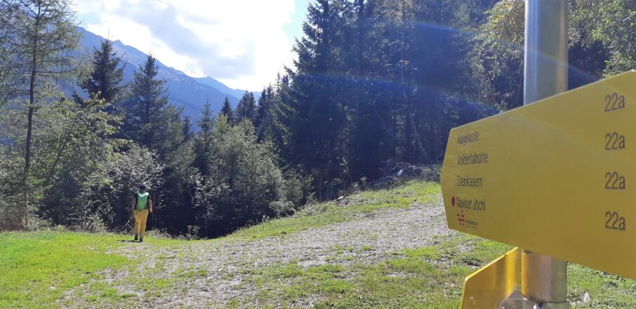 eine Forststraße wird erreicht