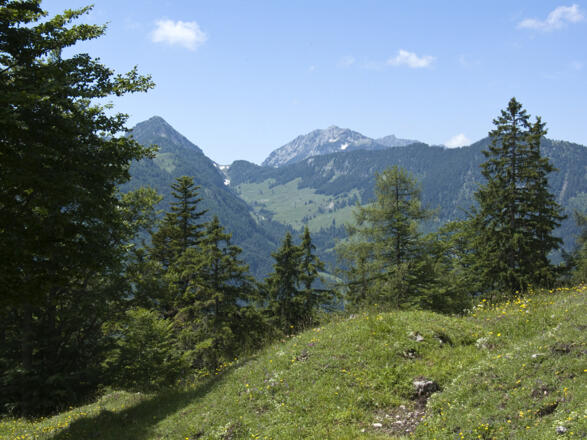 ... und zum Feldberg im Zahmen Kaiser.