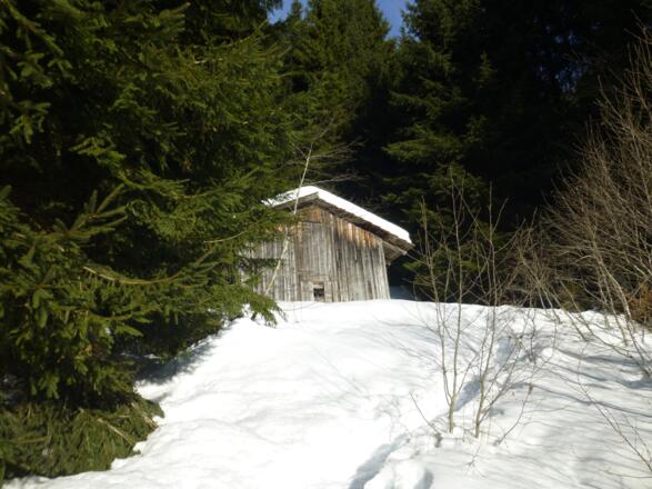 Hütte als Wegpunkt nach einem Birkenjungwald