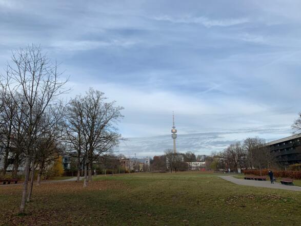 Fitnessstation im Ackermannbogen - Den Olympiaturm im Blick