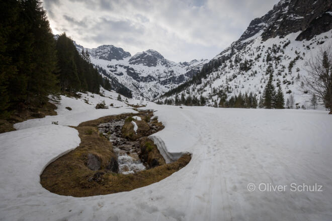 Frühjahr im Wildental