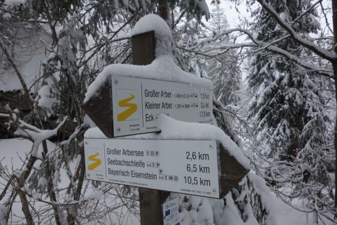 ein kleines Teilstück folgen wir dem Goldsteig