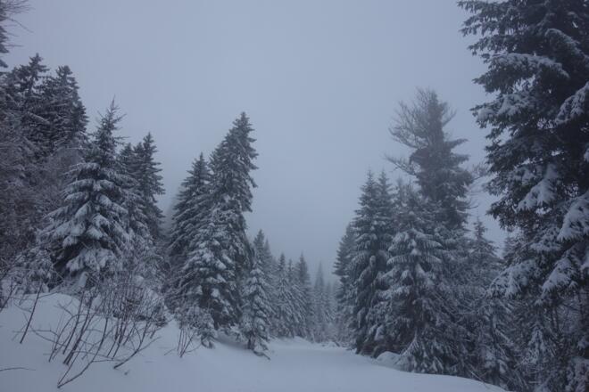 aufe aufn Berg :-)