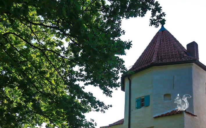 Europäisches Spargelmuseum