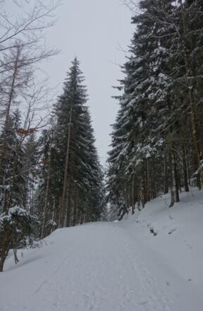 Winterwege