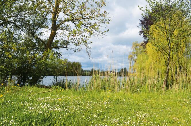 Walkweiher, Foto: Touristik Service Dinkelsbühl