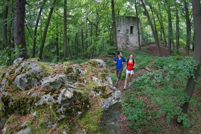 Die Burgruine Ehrenfels liegt mitten im Wald
