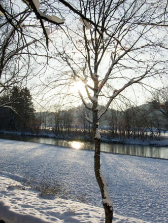 ..., die aber auch im Frühjahr mit blühenden Narzissen, Schneeglöckchen und anderen Frühblühern empfehlenswert ist.