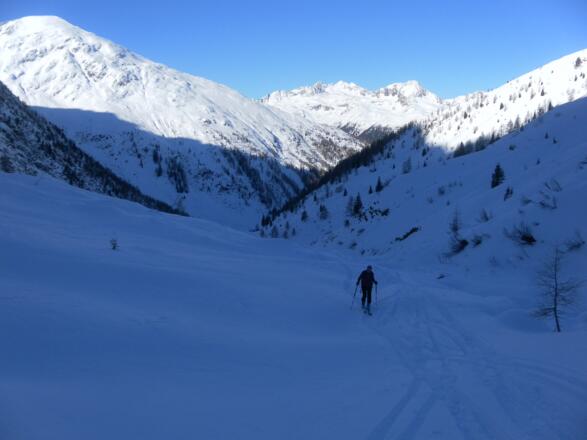 Langschneid aus dem Brugger Almbachtal