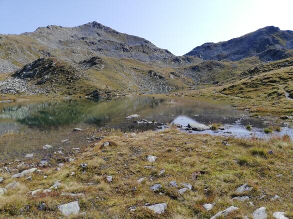 Gritzer See