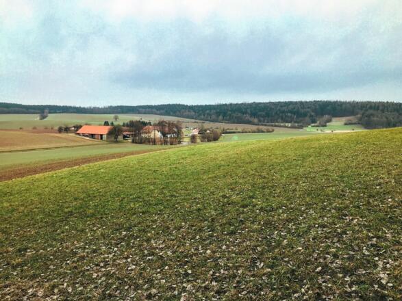 Ausblick auf die Jurahochfläche bei Bad Abbach