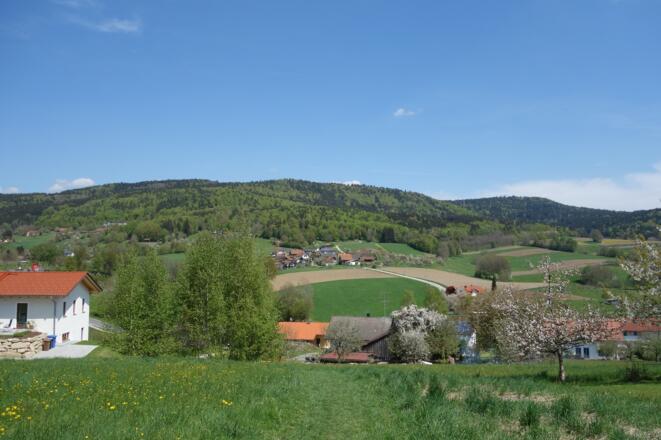 Blick nach Panholling