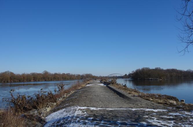 Bschlacht zwischen alter und neuer Donau