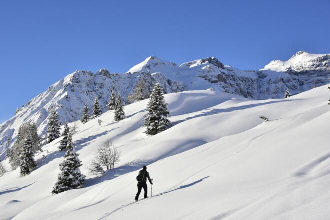 Waldgrenze unterhalb der flacheren Almböden