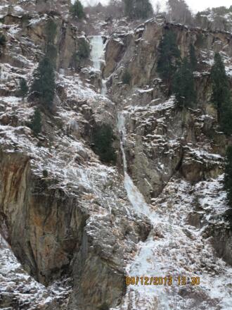 Gut aufgeeister Botanikerkamin im Jahre 2013