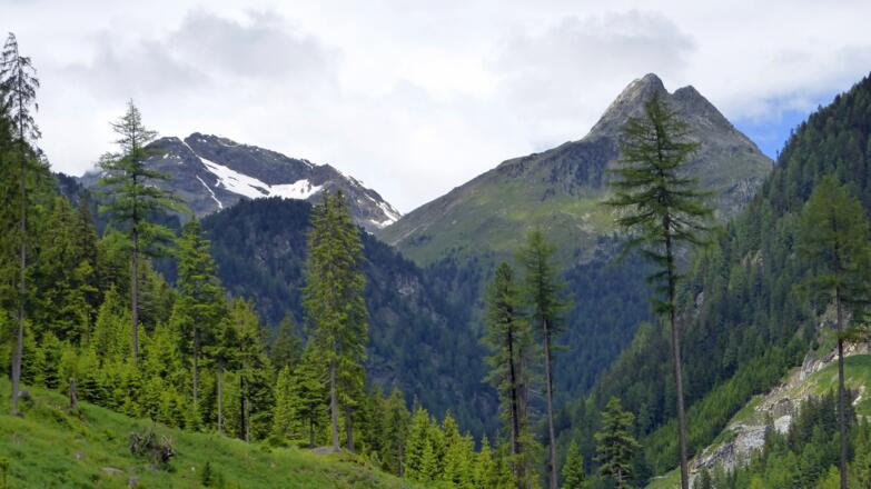 Rosshorn (li.) und Rothorn in der Rieserfernergruppe