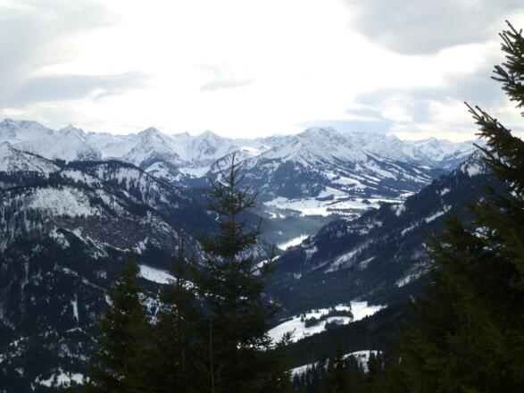 Blick auf Iseler in Bildmitte