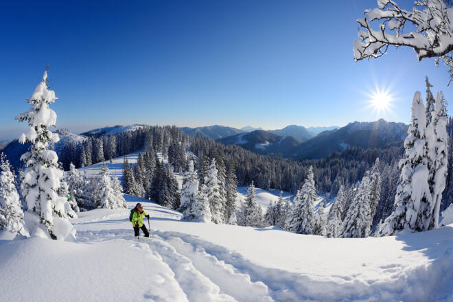 Durch lichten Wald geht es auf den Nordrücken „Auf dem Stein“