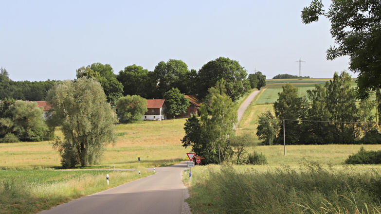 06 - Hanszell