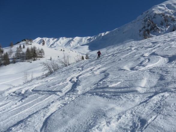 Almwiesen unter dem Kamm der Hohen Warte