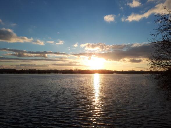 Donau