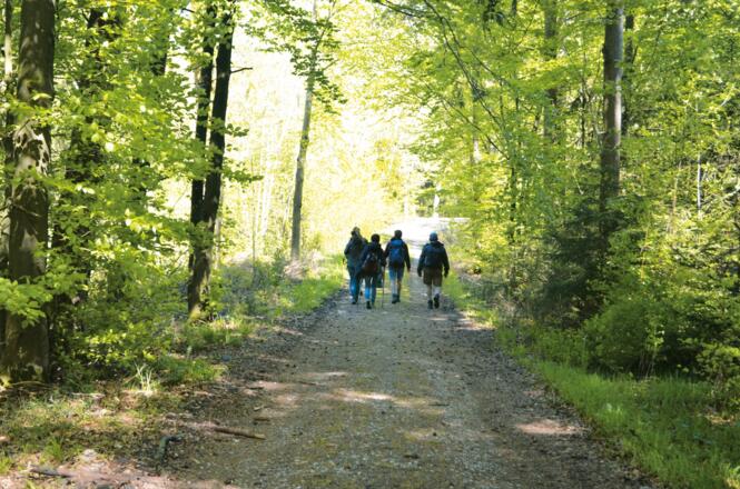 Mutschach, Foto: Touristik Service Dinkelsbühl