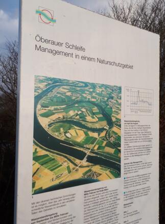 Öberauer Donauschleife