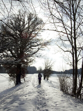 Für Groß und Klein eine schöne Winterwanderung, ...