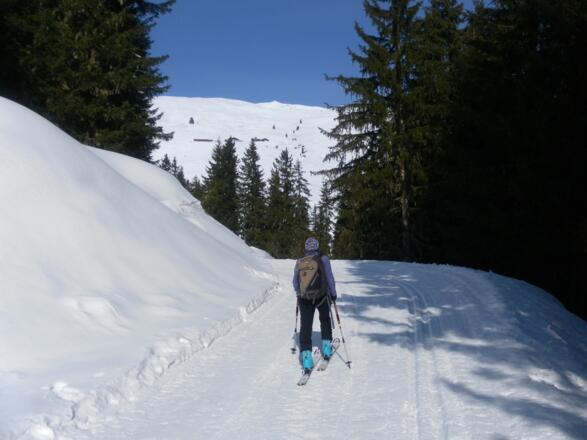 Höhenloipe bzw. Rodelbahn
