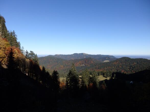 Ausblick auf dem Weg oberhalb der Tiefentalalm