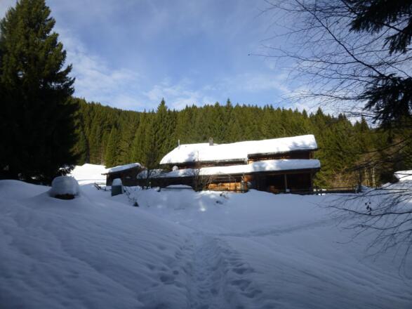 Bei der Gundhütte auf 1180 m