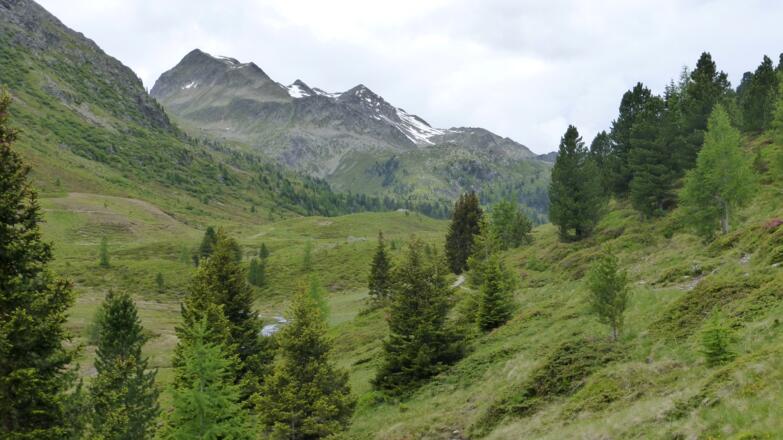 Zwischen Obersee und Staller Alm
