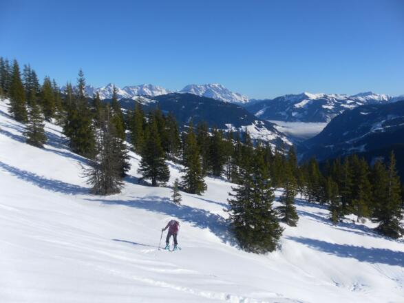 milde Hänge, im Hintergrund Steinernes Meer, Hochkönig und Schwalbenwand