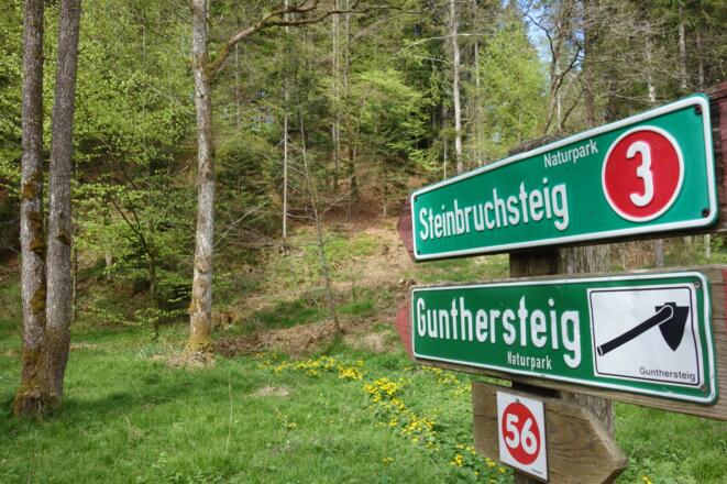 Am Gunthersteig, bzw. Rot 3 hinab in die Hengersberger Ohe