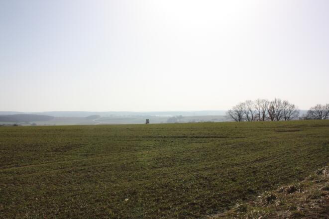 Hochplateau bei Bad Abbach