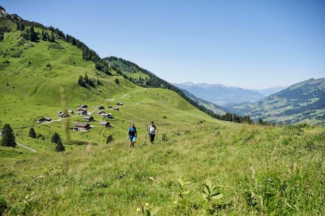 Sterisalpe